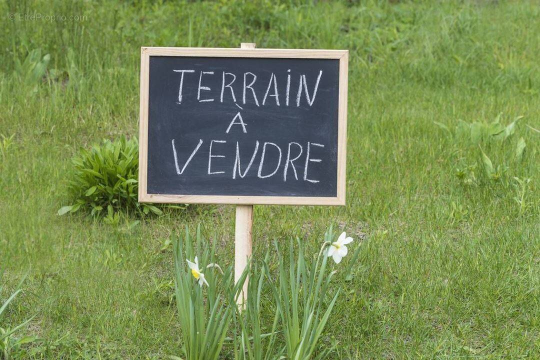 Photo 1 - Terrain à SAINT-NAZAIRE-D'AUDE