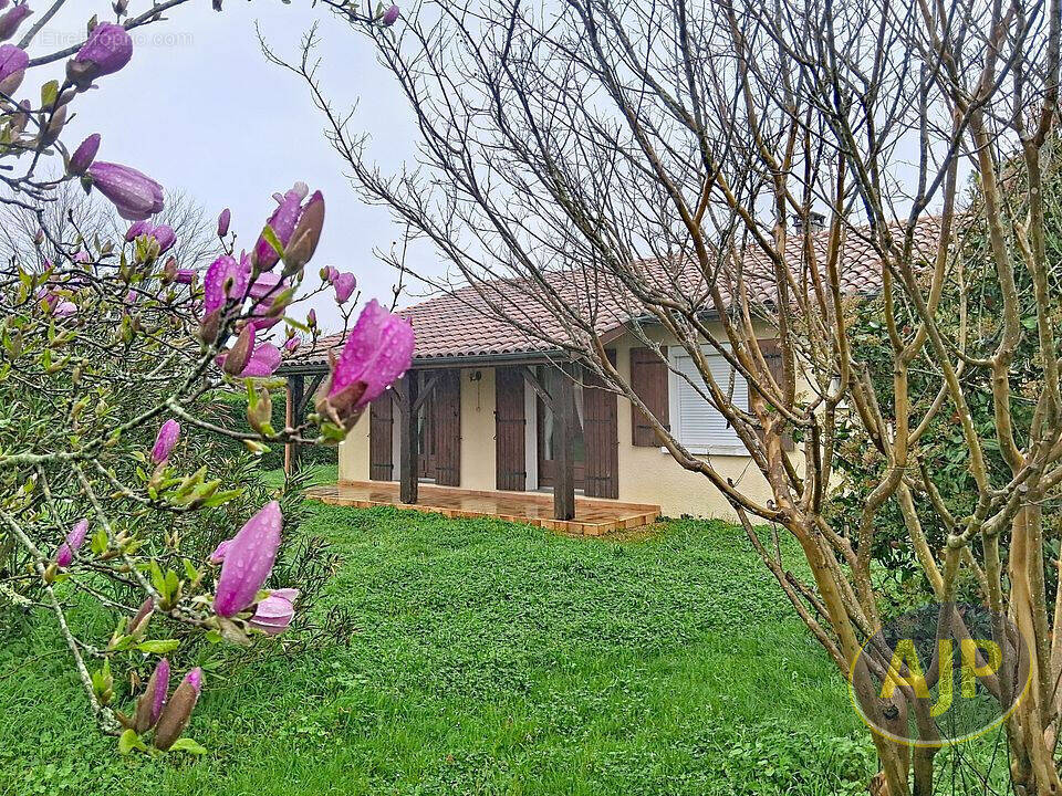 Maison à SAINT-GERMAIN-D'ESTEUIL