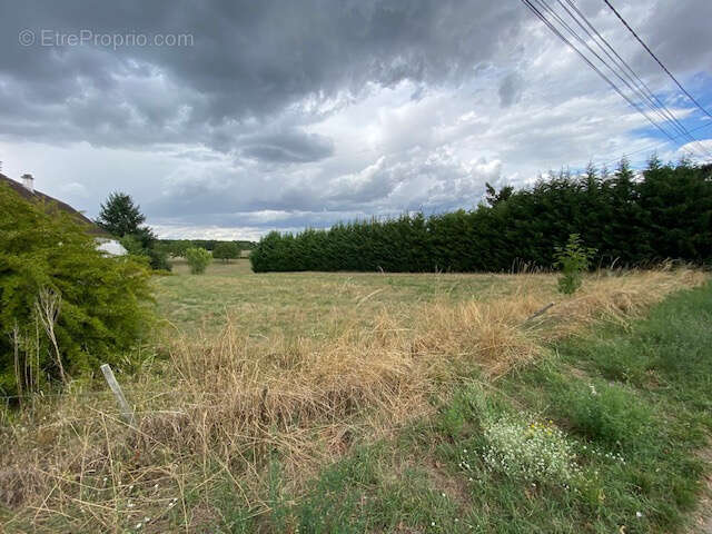 Terrain à SAINT-REMY-EN-ROLLAT
