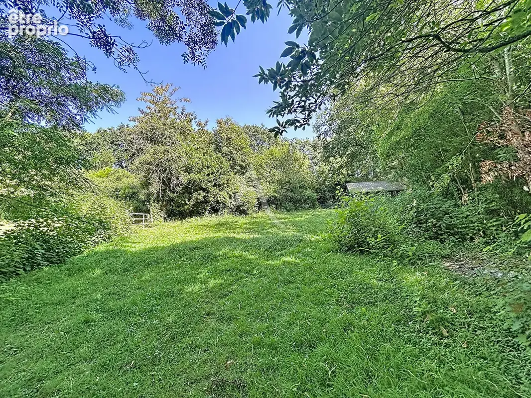 Terrain Loigne Sur Mayenne 23946 m2 - photo 13