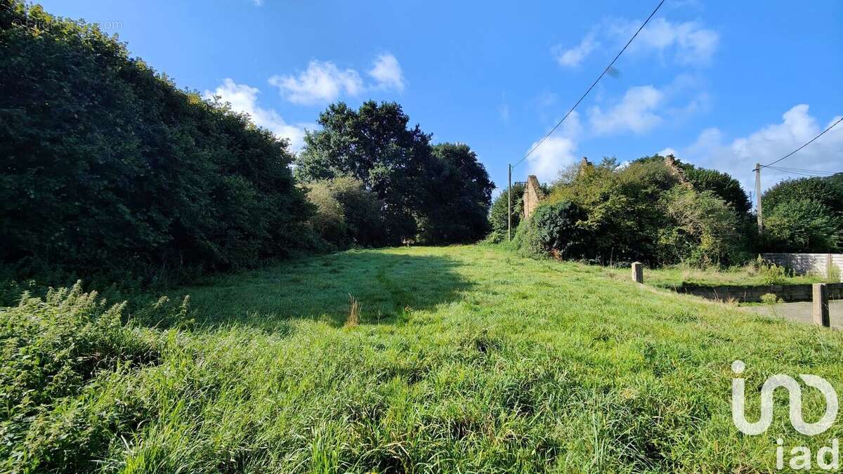 Photo 2 - Terrain à SENS-DE-BRETAGNE