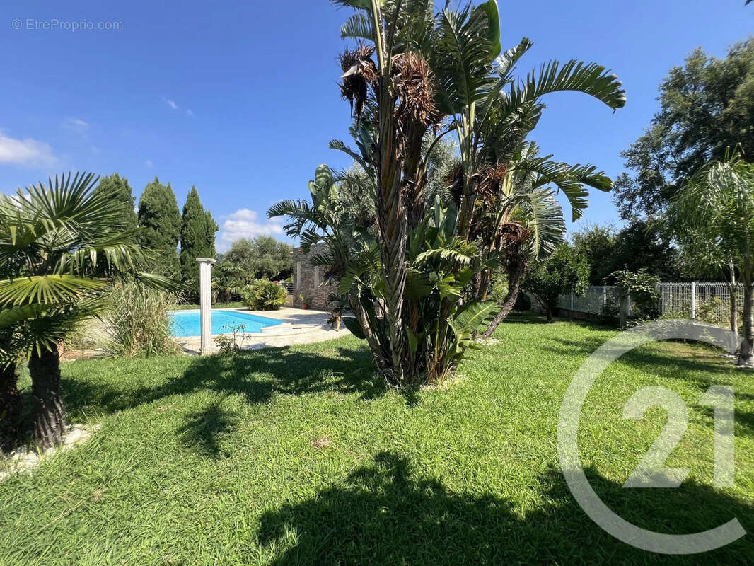 Maison 212 m² à Lucciana  - photo 3
