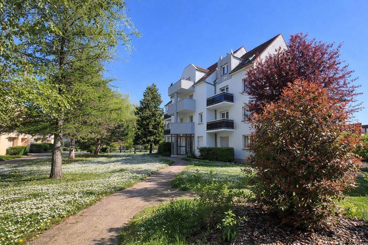 Appartement à OBERNAI