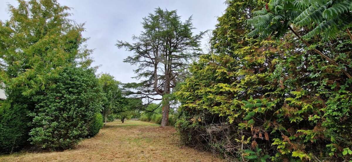 Maison de caractère avec grande grange/garage et plus de 1600m2 de terrain attenant - photo 52