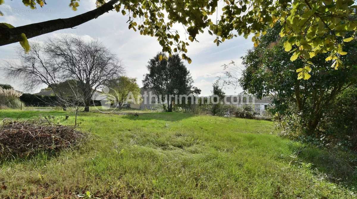 Terrain à GRAGNAGUE