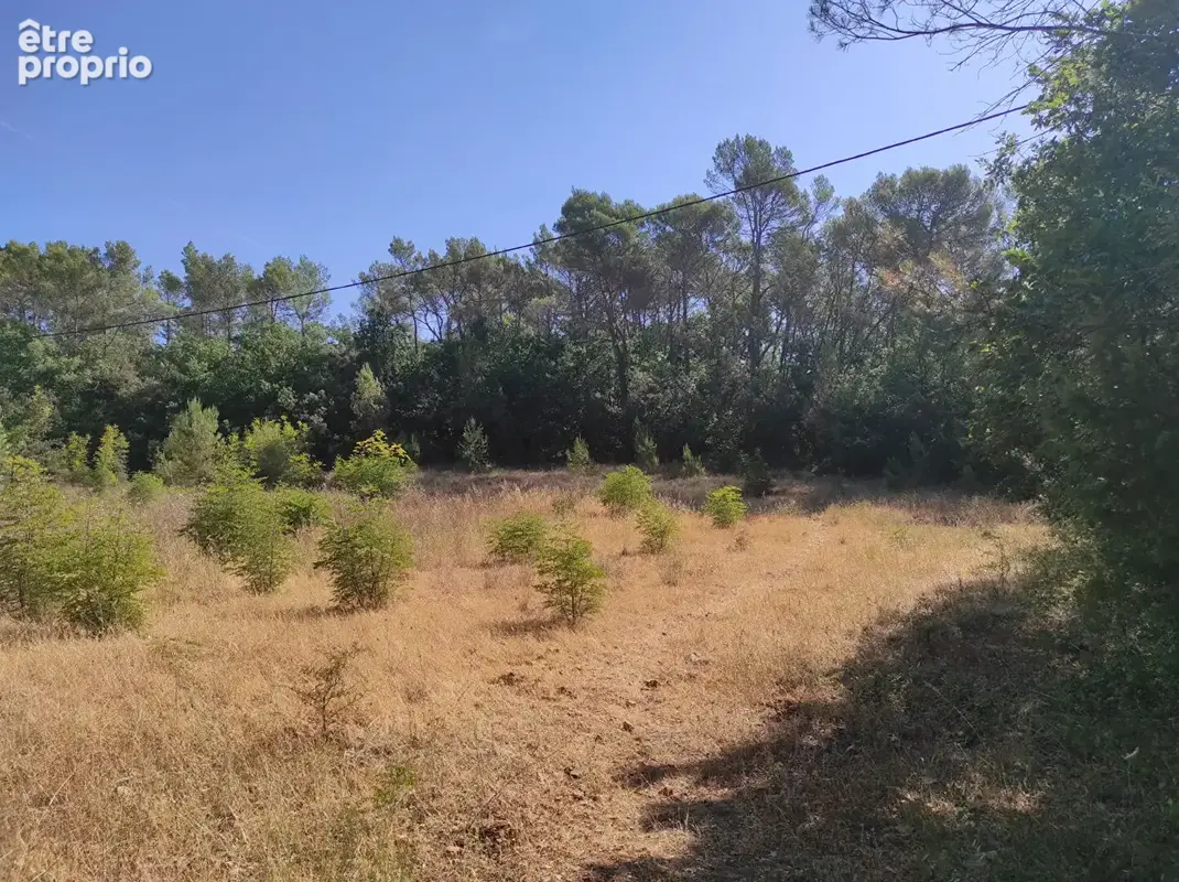 RARE À LA VENTE : Ensemble foncier de 1,6 Hectare en zone AOC ? Idéal Projet Viticole ou Agricolerrain Le Thoronet - photo 5