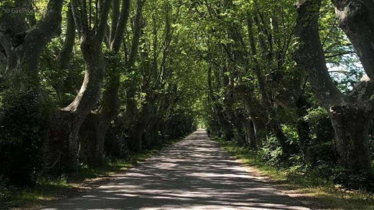 Maison à CHATEAUNEUF-DU-PAPE