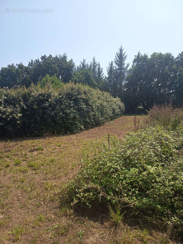 Terrain Le Faouet - photo 7