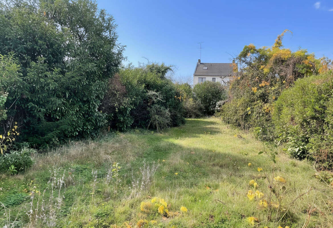 Terrain à VERRIERES-LE-BUISSON