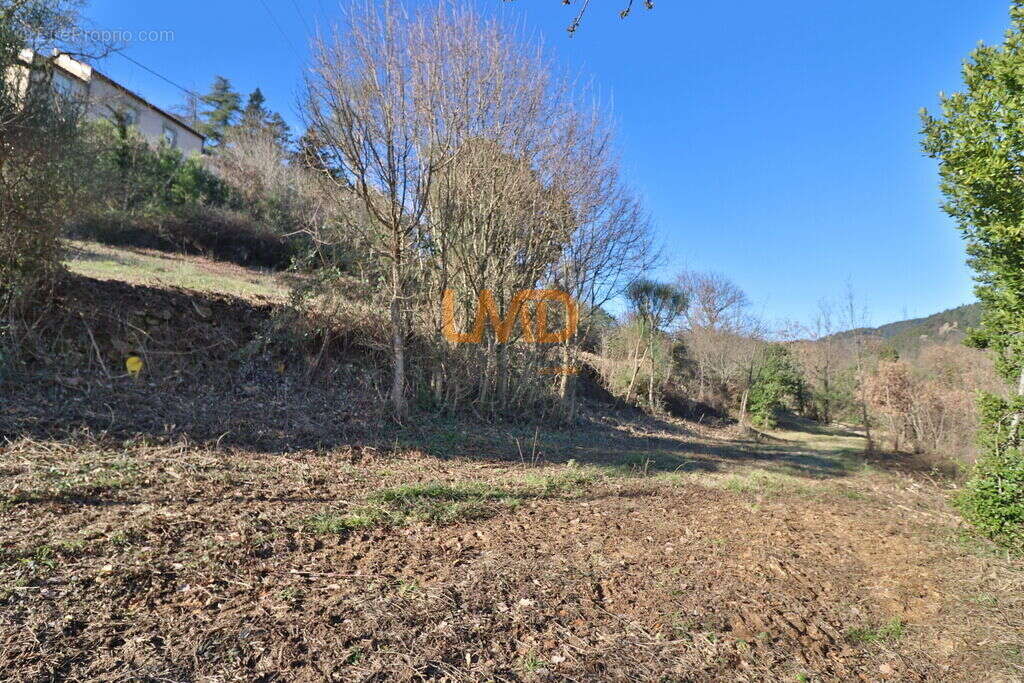 Terrain à TAUSSAC-LA-BILLIERE