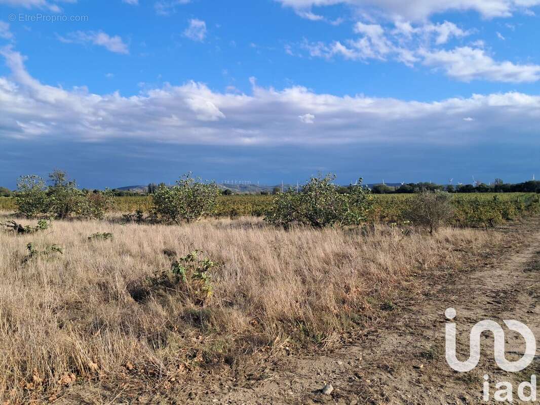 Photo 6 - Terrain à CANET