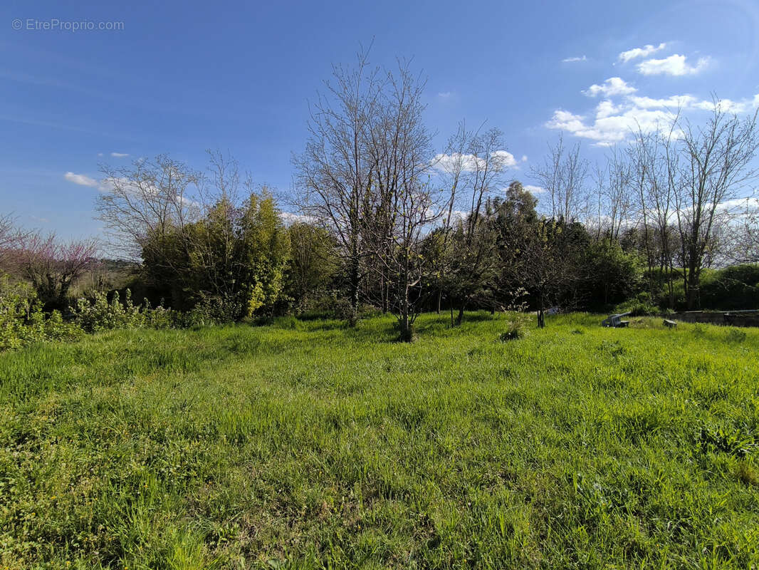 Terrain à SAINT-LAURENT-LA-VERNEDE