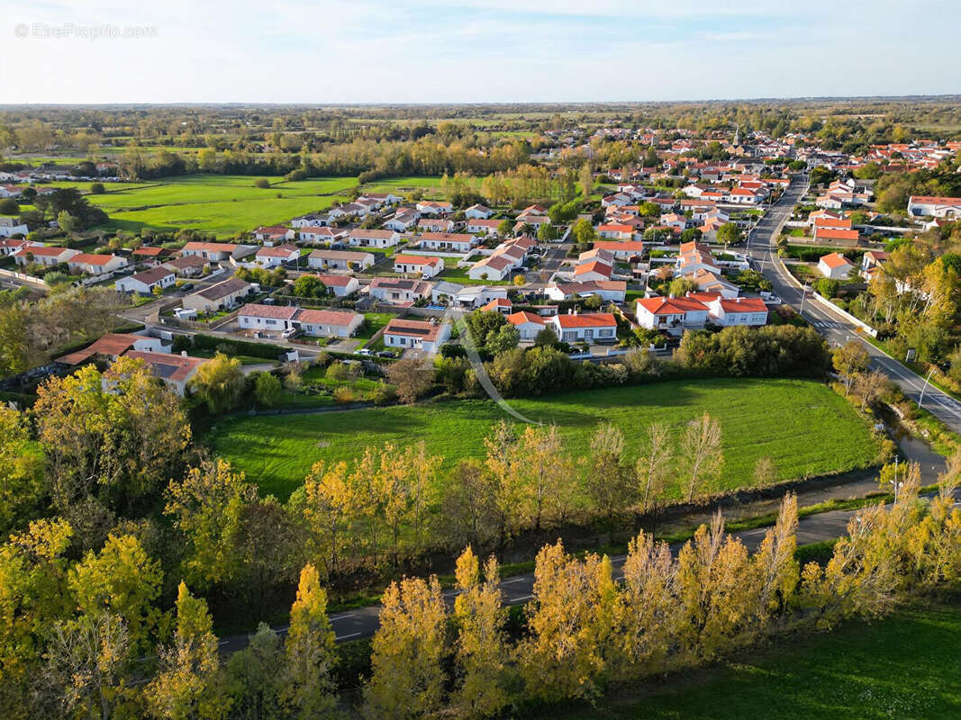 Terrain à LE PERRIER