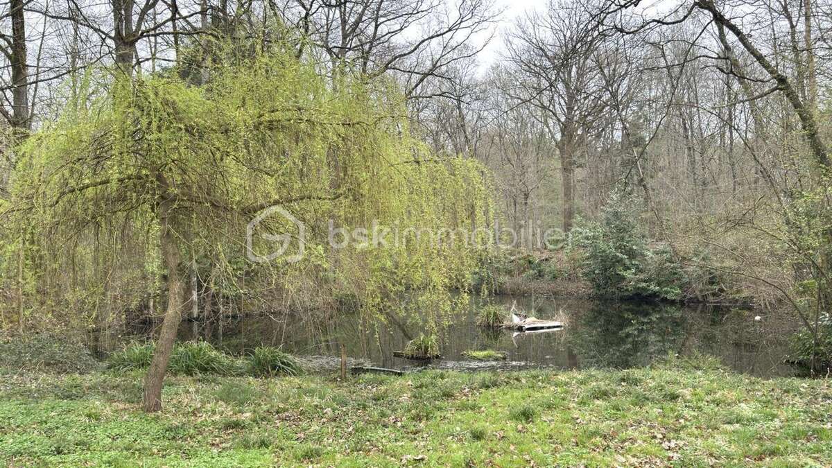 À Vendre : Propriété Bucolique avec Fort Potentiel Locatif et de Loisirs - photo 6