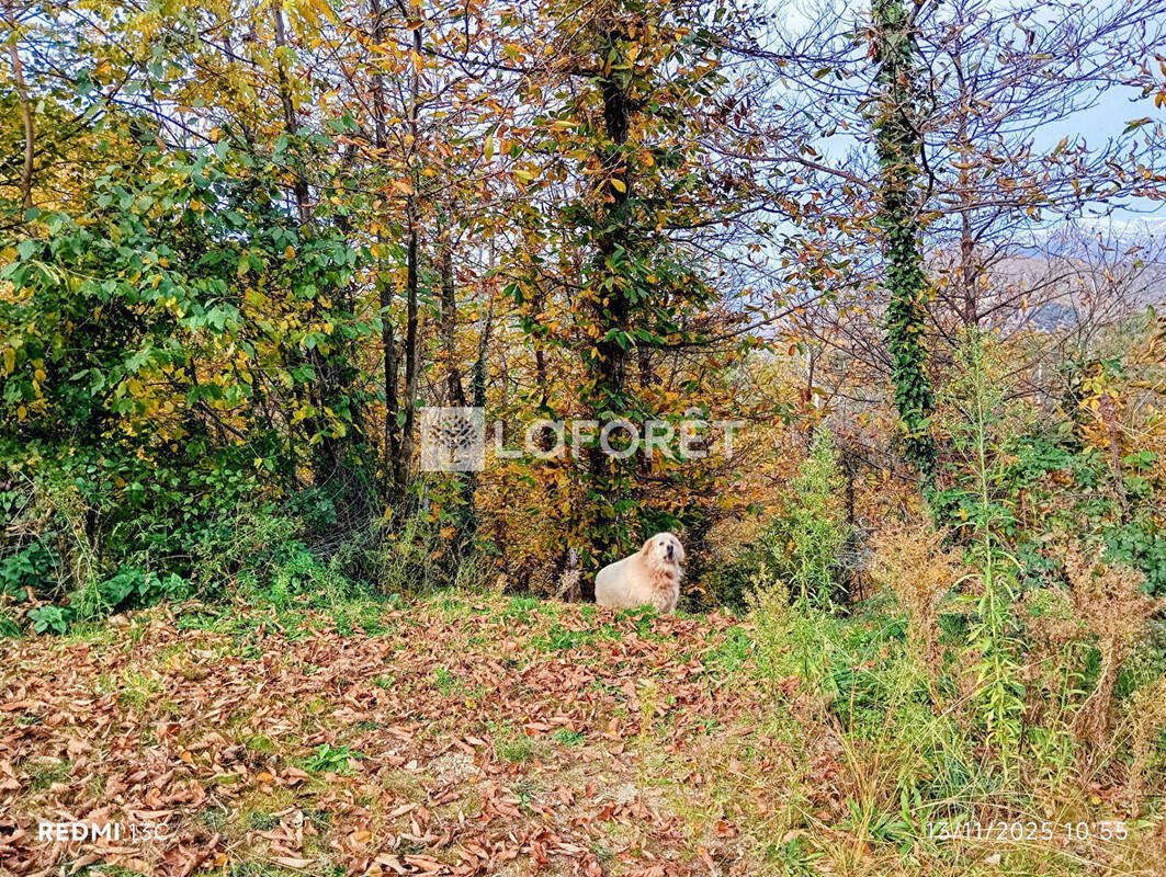 Terrain à SERRALONGUE