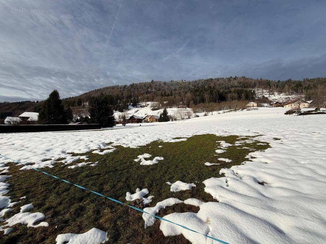 Terrain à HABERE-POCHE