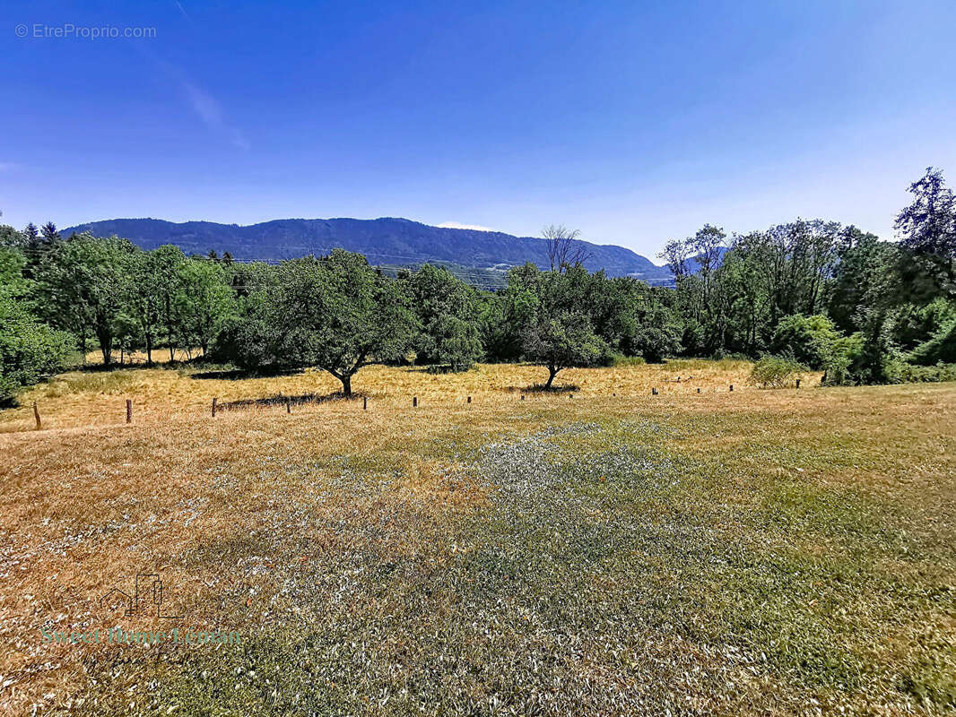 Armoy - propriete sur terrain 9600m² - photo 6