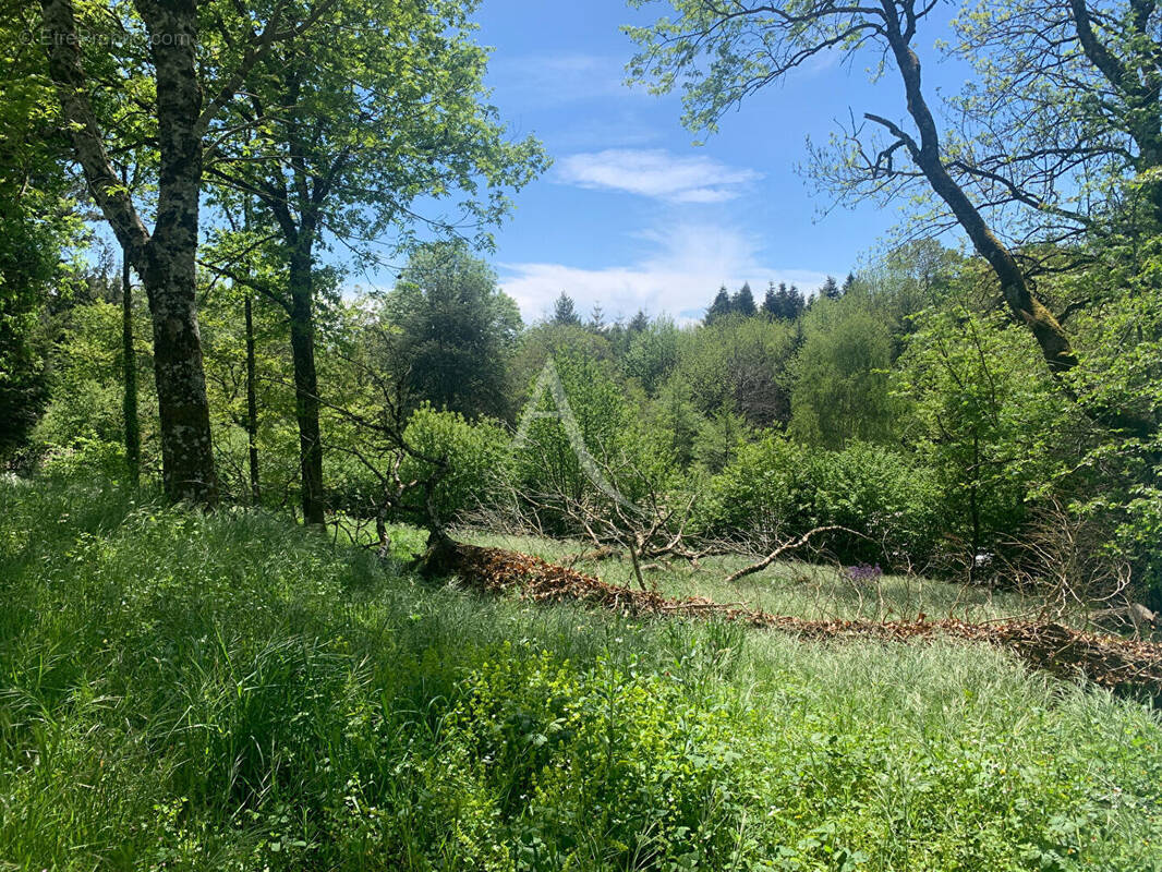 Terrain à FONTIERS-CABARDES
