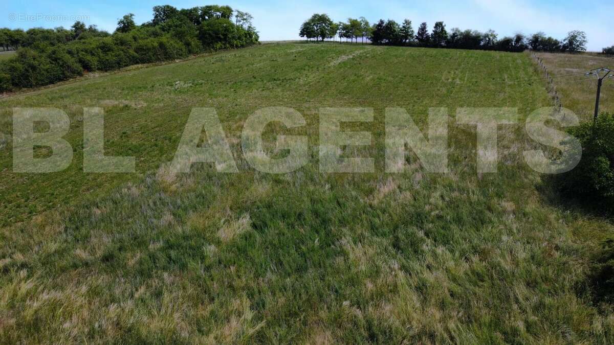 dji_fly_20250609_130054_220_1749484613734_photo_optimized_inPixio - Terrain à SERGINES