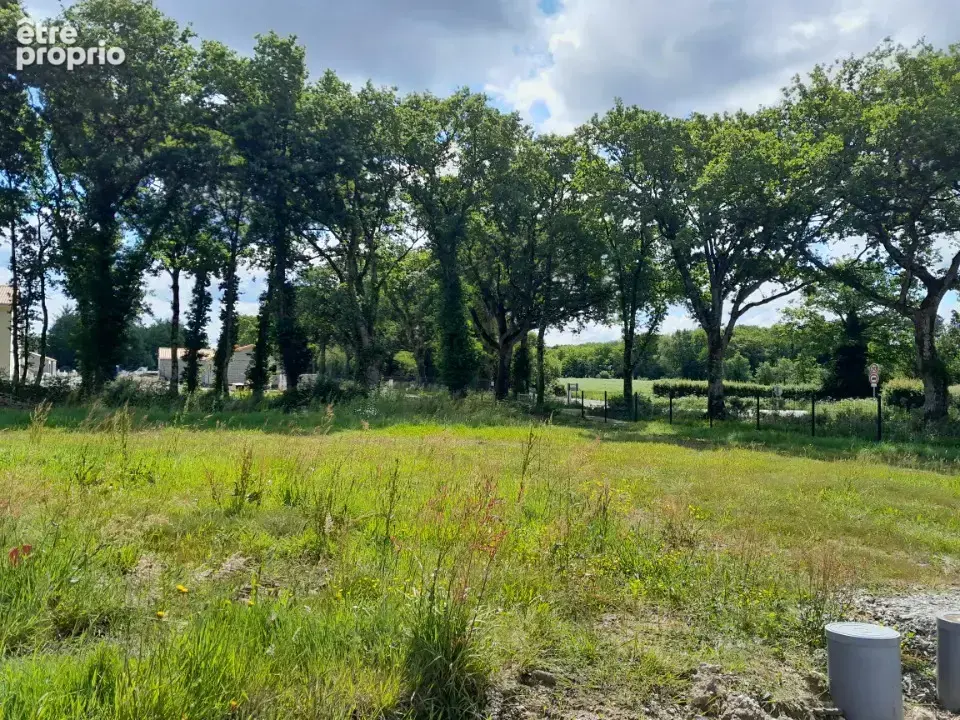 Terrain à SAINT-PERE-EN-RETZ