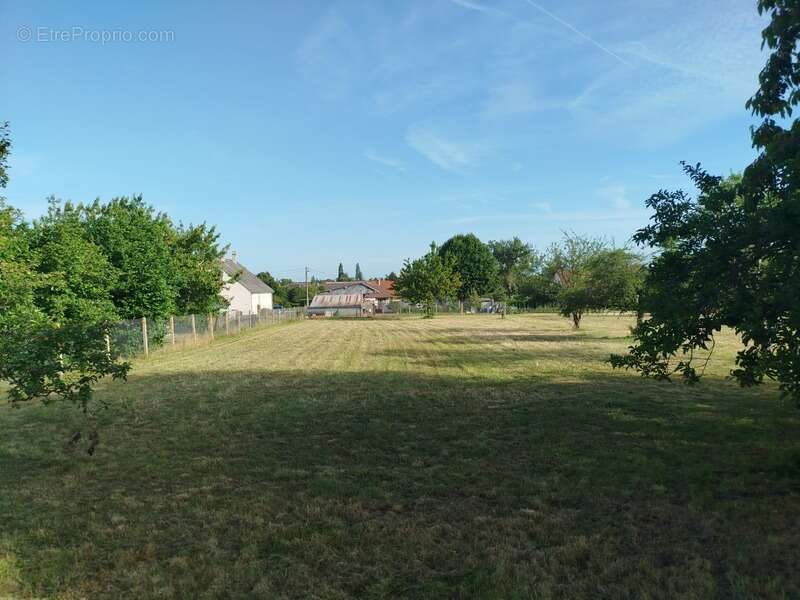Terrain à SAMBIN