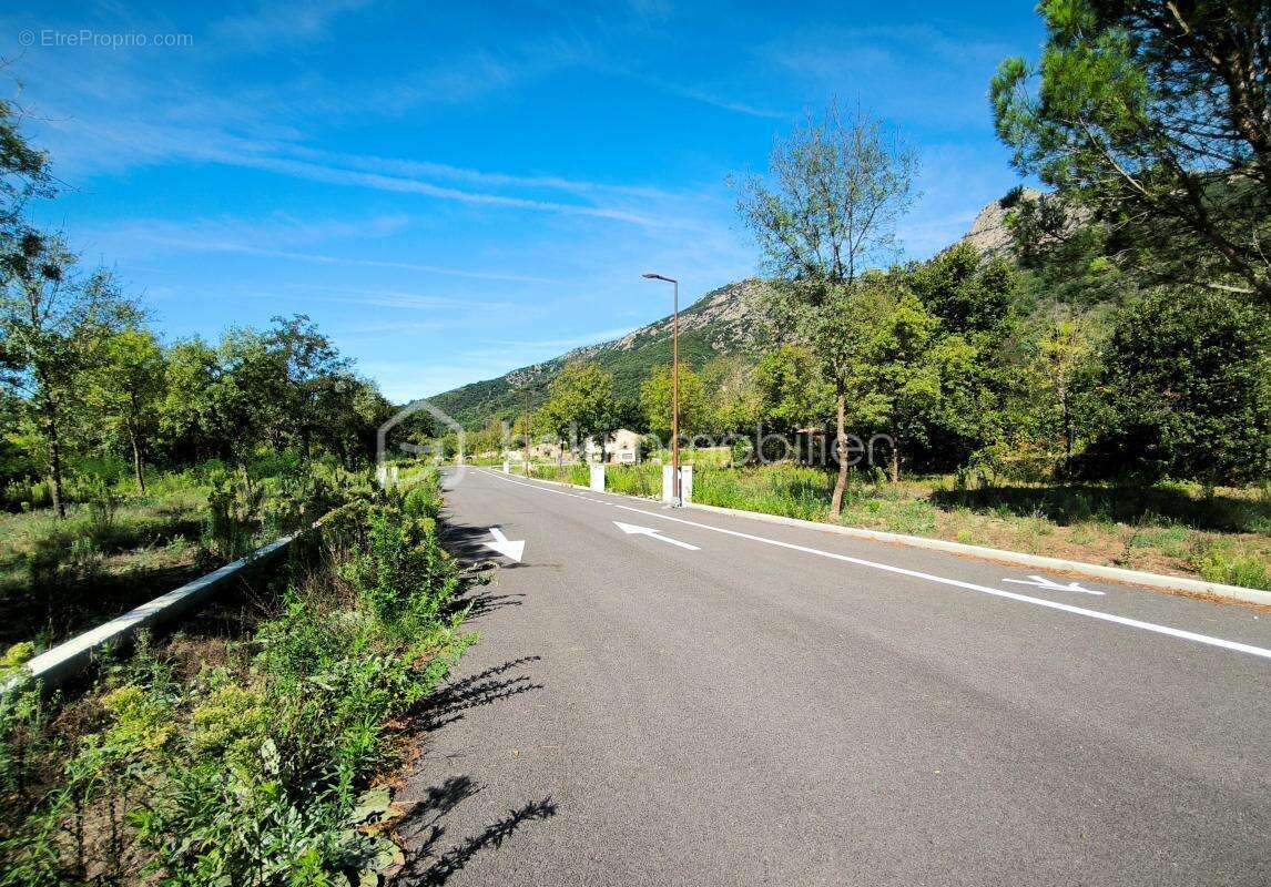 Terrain à COLOMBIERES-SUR-ORB