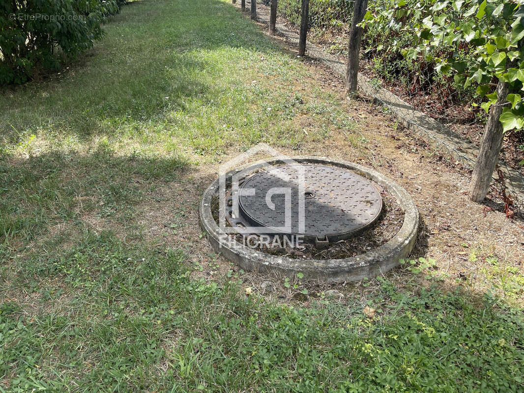 Terrain à SCHNERSHEIM