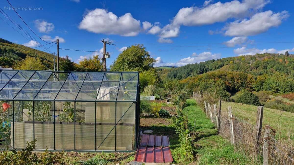 Photo 3 - Maison à LA SALVETAT-SUR-AGOUT