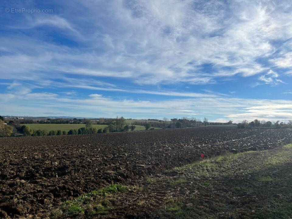 Terrain à VILLEFRANCHE-DE-LAURAGAIS