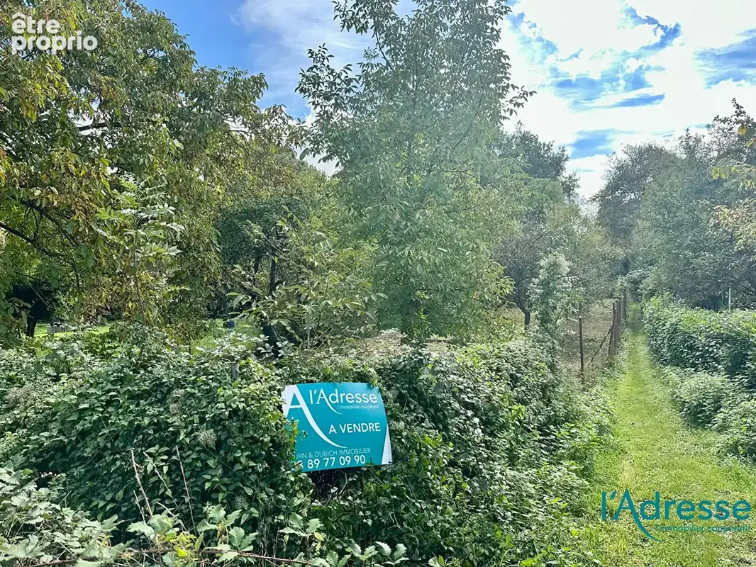 Terrain de loisirs Colmar - photo 2