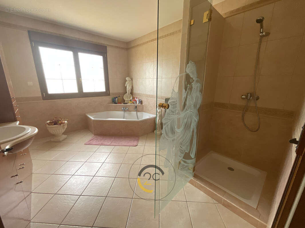 Maison individuelle plain-pied 161m2  + DÉPENDANCES XXL (160m2) sur 48ares -proche Luxembourg - photo 18