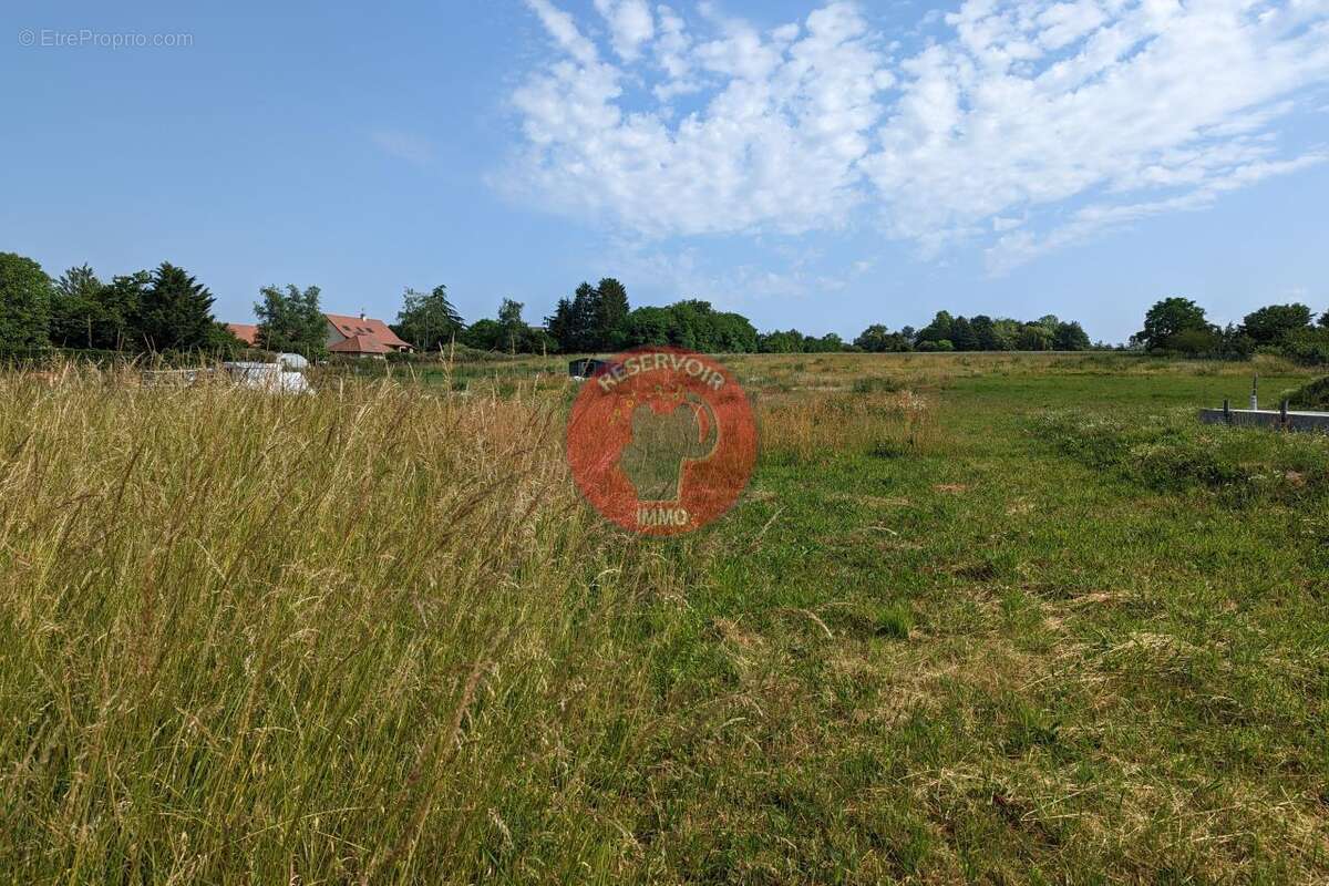 Terrain 1810 m² à Beaune  - photo 6