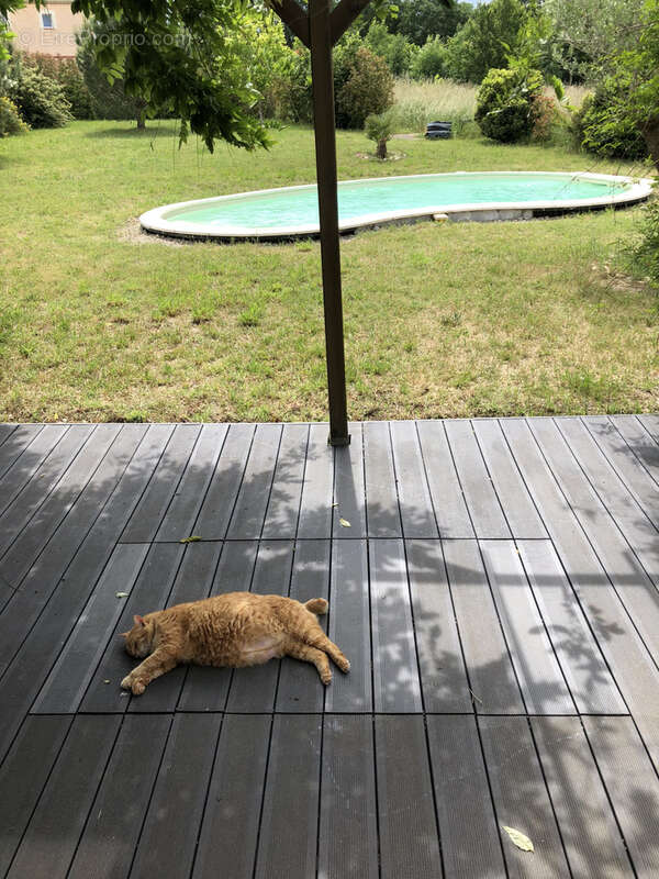 Maison à CINTEGABELLE