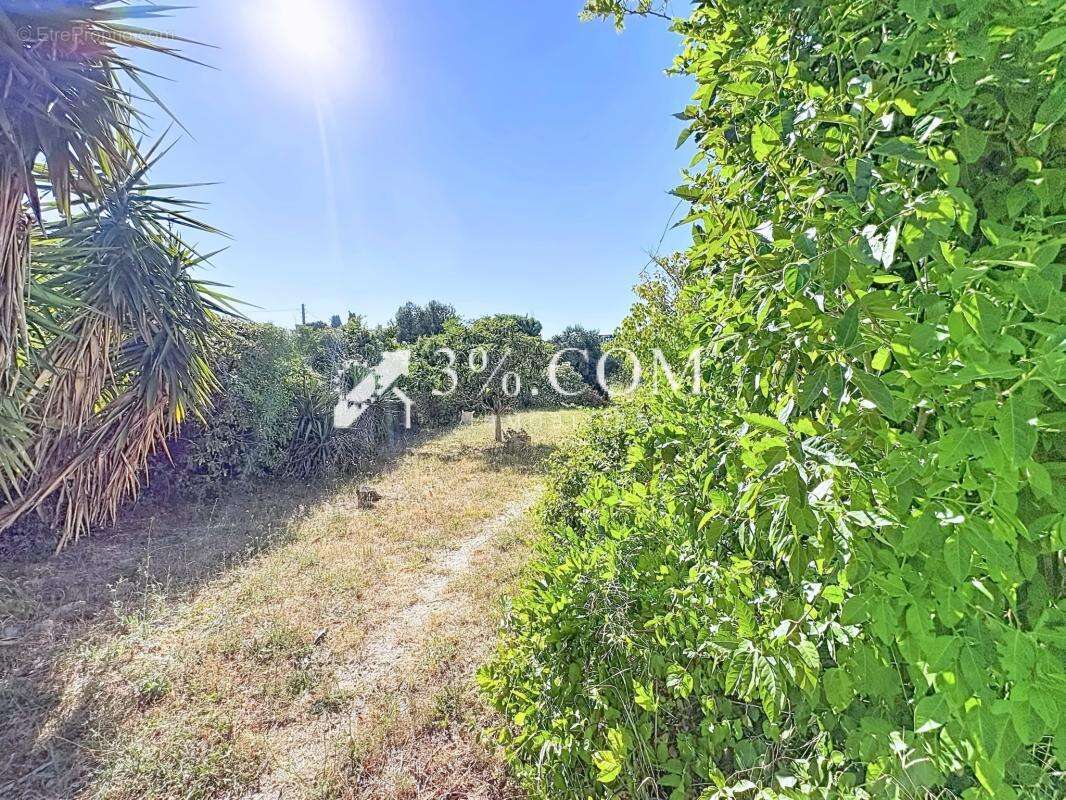 Opportunité foncière stratégique de 2 958 m2 entièrement con - photo 4