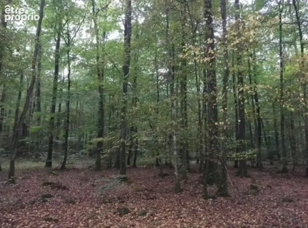 Terrain à AUNEAU