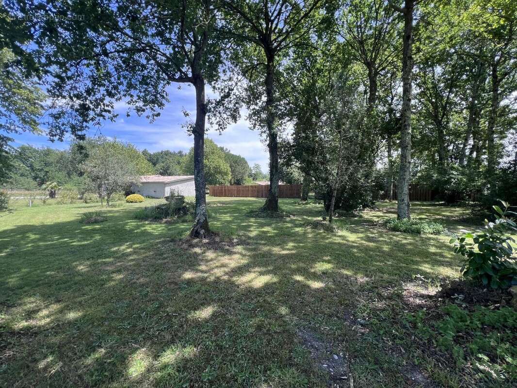 Vente Terrain Arsac(33460) 169 000ï¿œ - photo 4