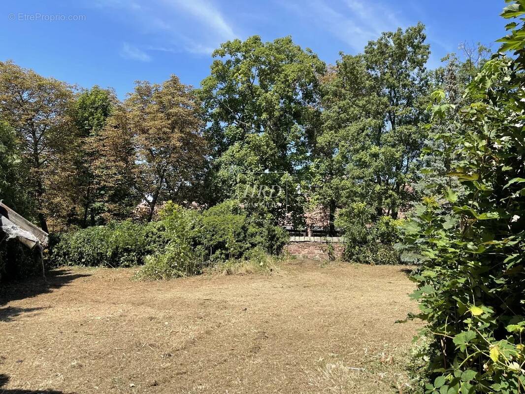 Terrain à SCHARRACHBERGHEIM-IRMSTETT