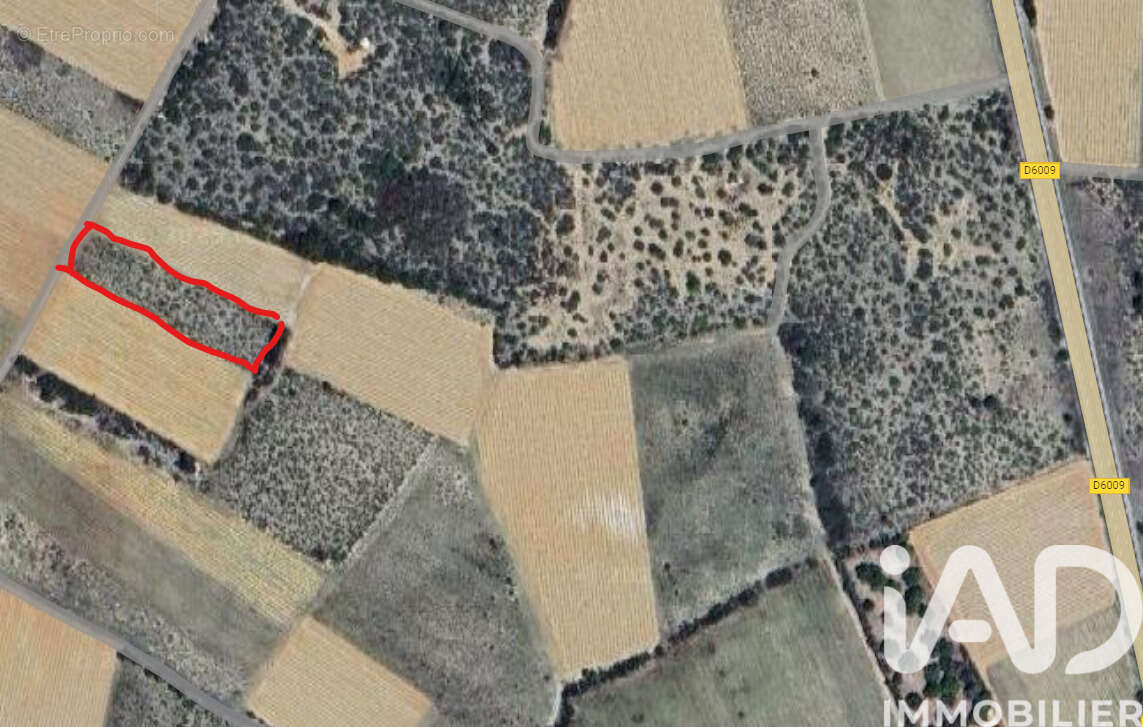 Photo 2 - Terrain à LA PALME