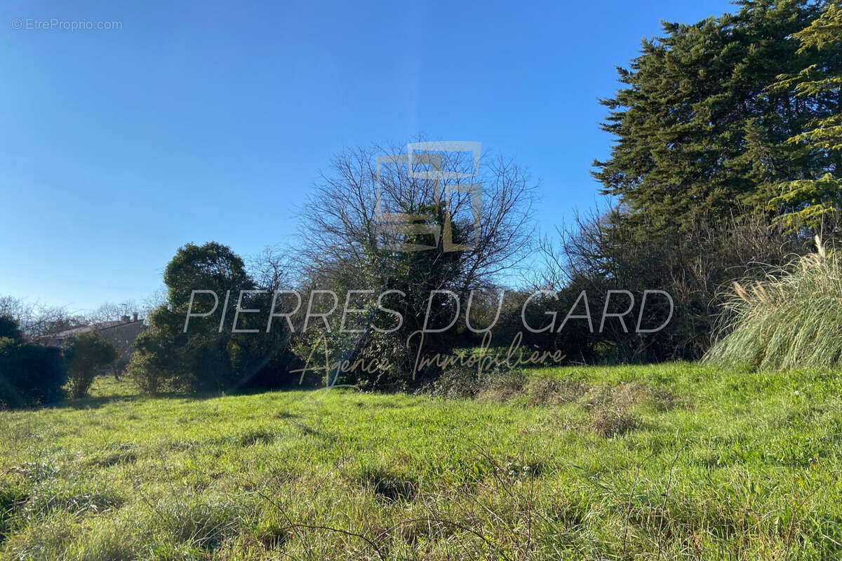 Terrain à CASSAGNOLES