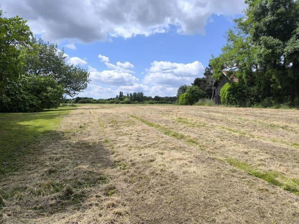 Terrain à SAINT-PIERRE-D'EYRAUD