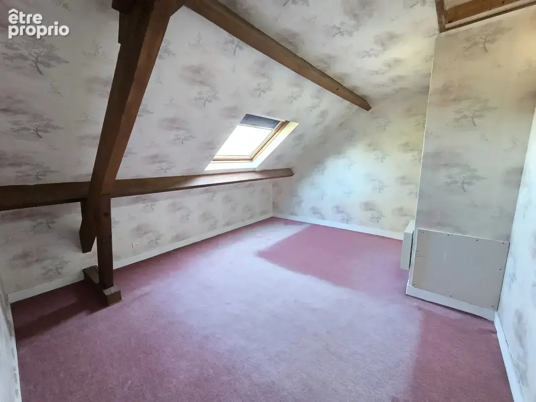 Maison vue Loire, sous-sol complet, 5 chambres - photo 7