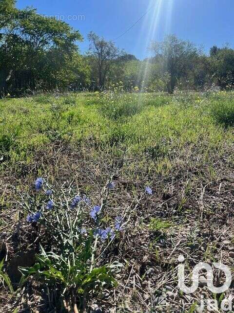 Photo 5 - Terrain à SEPTEMES-LES-VALLONS