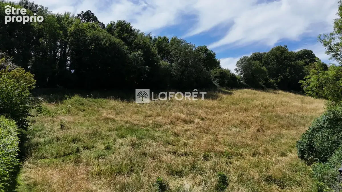 Terrain à vendre Chatillon Sur Chalaronne 11049 m2 - photo 2