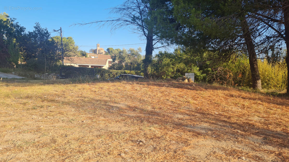 Terrain à SAINT-PONS-DE-MAUCHIENS