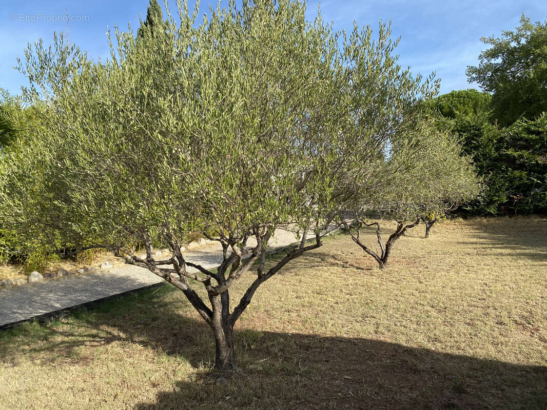 Maison à LA MOTTE