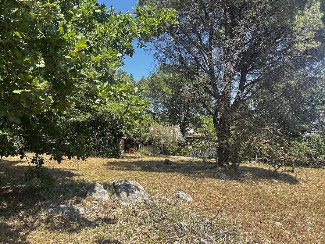 Secteur privilégié, vente villa sur 6123 m² de terrain - photo 21