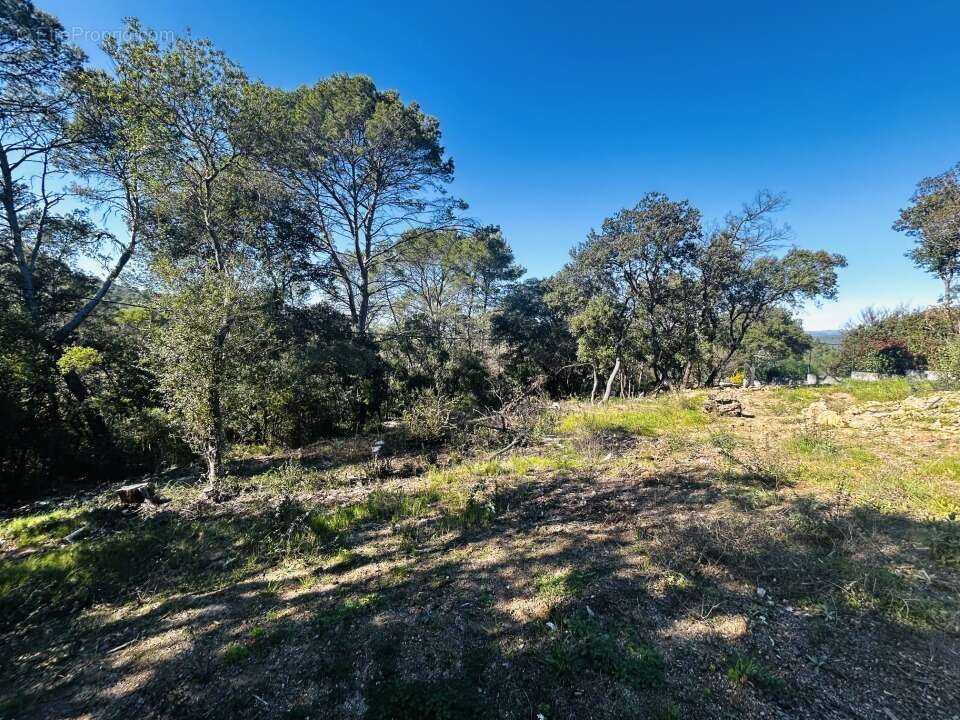 Terrain 1330 m² à Le Thoronet  - photo 3