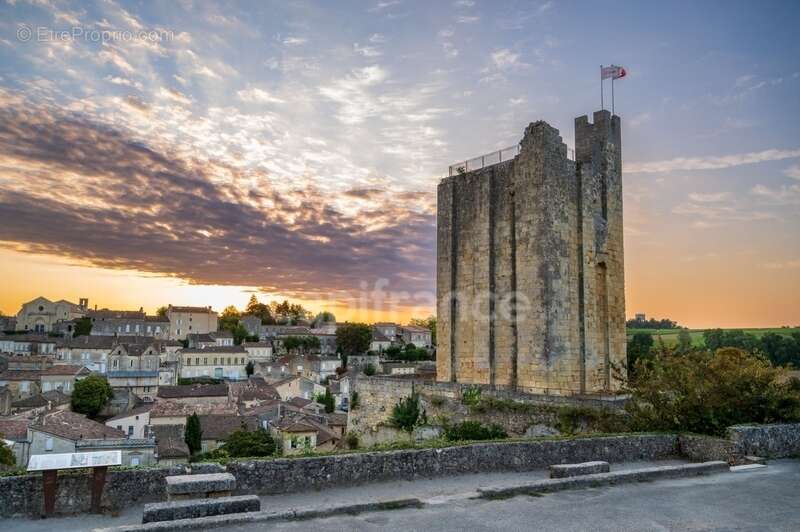 Fonds de commerce Restaurant à vendre SAINT EMILION (33) - photo 4