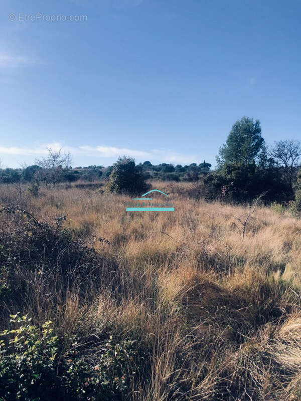 Terrain à NEBIAN