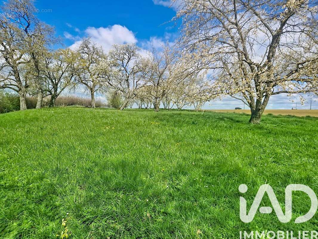 Photo 2 - Terrain à JOUAVILLE